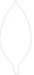 MongoDB